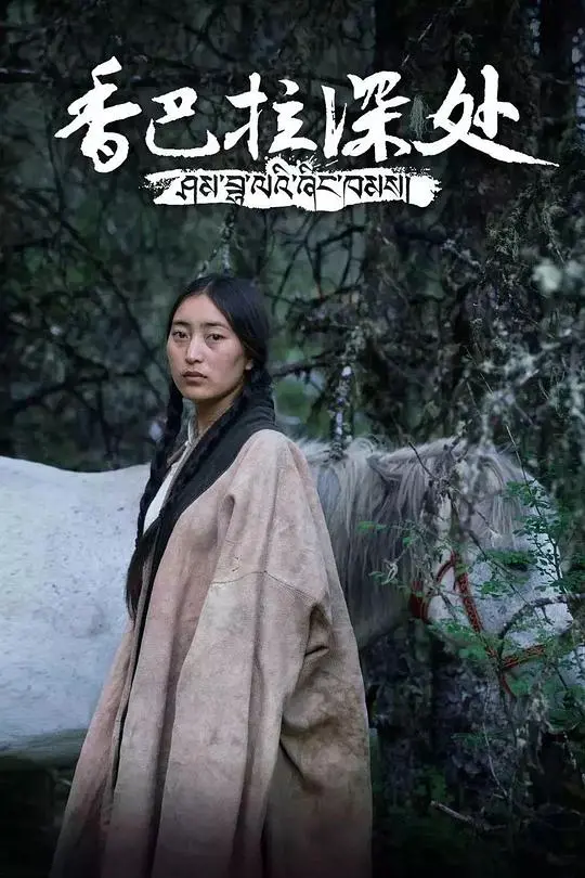 《香巴拉深处》：灵魂之旅与信仰的叩问，探寻藏地秘境