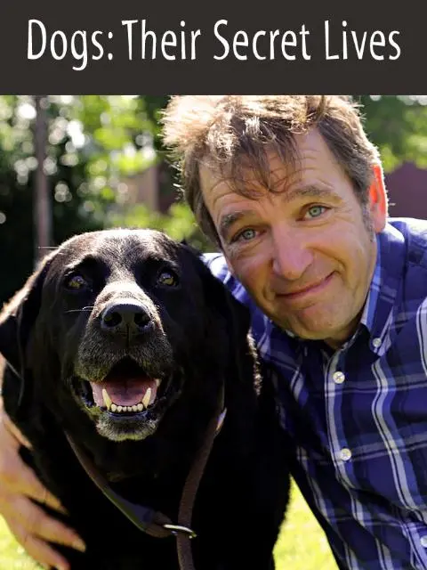 《狗狗的秘密生活》：揭秘宠物不为人知的欢乐日常